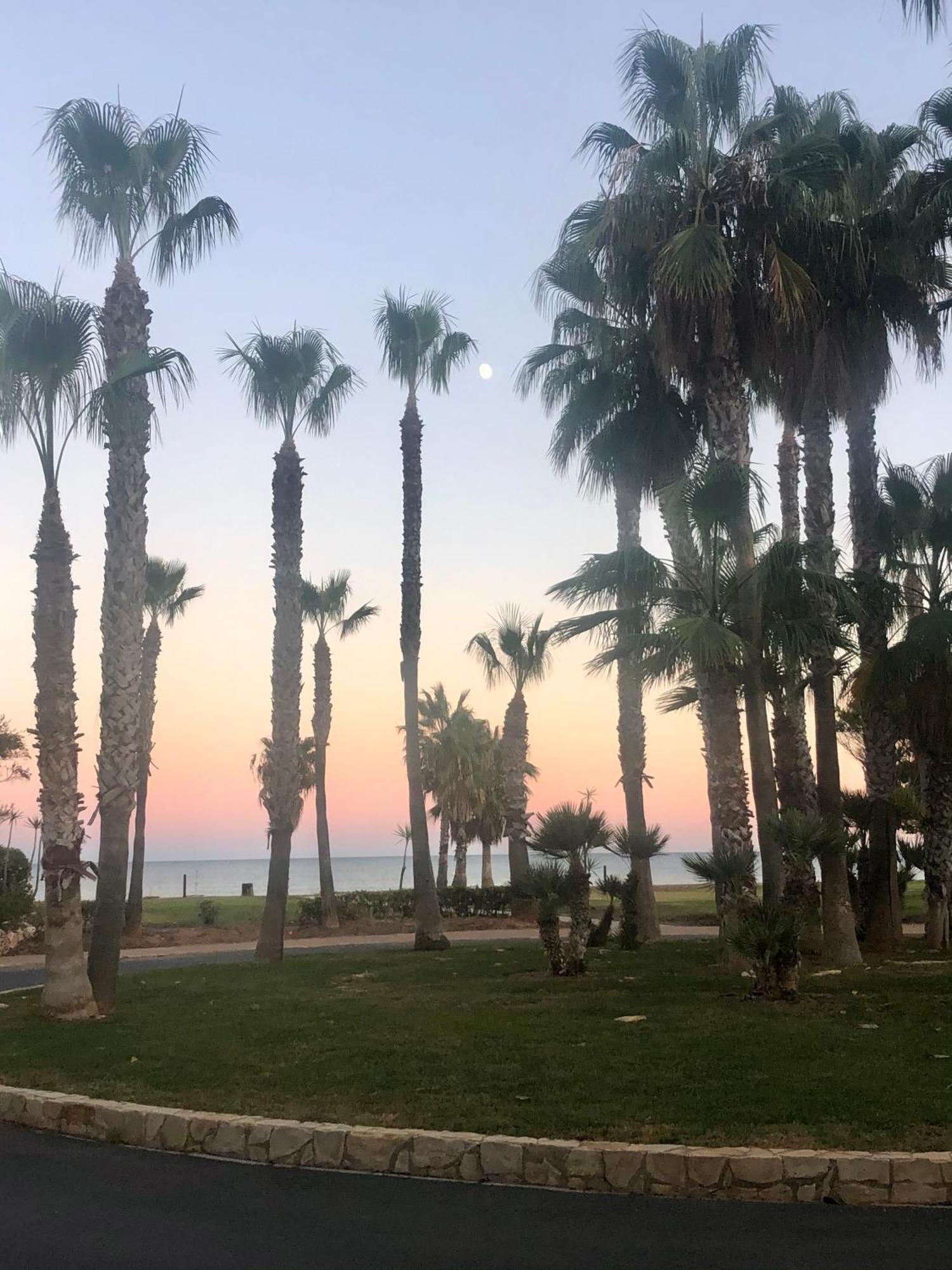 Marina Dor Primera Linea Lägenhet Oropesa del Mar Exteriör bild
